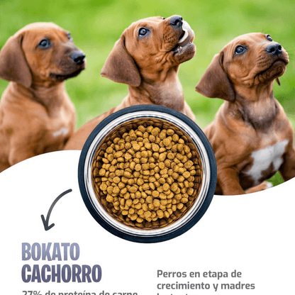 Alimento Bokato Cachorro · Premium · 10 Kg