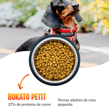 Alimento Bokato Petit · Super Premium · 2,5 a 10 Kg