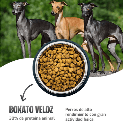 Alimento Bokato Veloz · Super Premium · 20 Kg