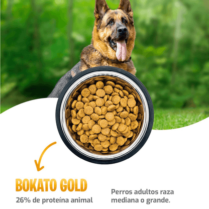 Alimento Bokato Gold · Super Premium · 10 a 20 Kg