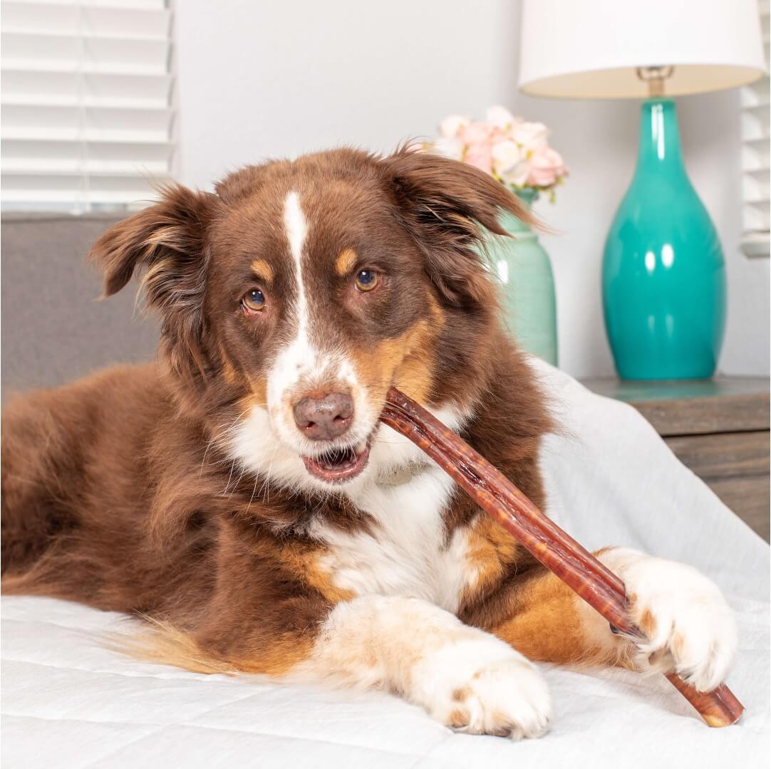 Bully Stick · 30 cm - Cornerdog