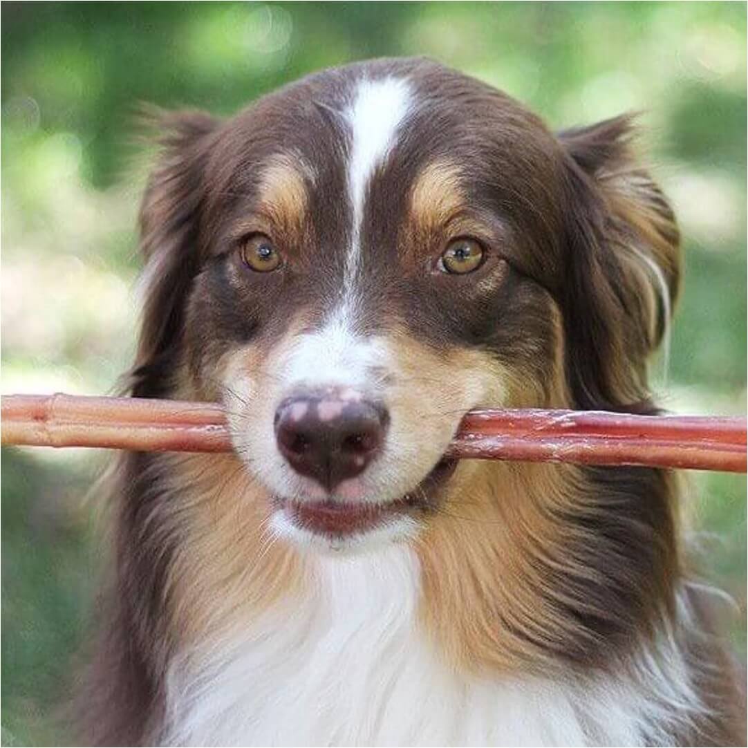 Bully Stick · 30 cm - Cornerdog