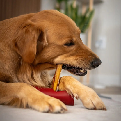 Bully Stick · 15 cm